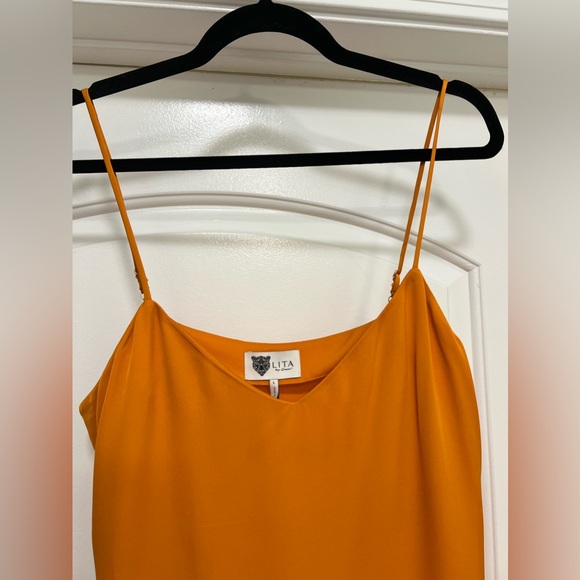 NWT Lita by Ciara 100% Silk Dress - Picture 4 of 8